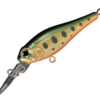 Variation picture for 04 Orange Yamame