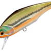 Variation picture for 12 Dace