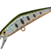 Variation picture for 13 Chart back yamame trout