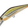 Variation picture for 31 Dace