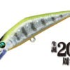 Variation picture for 49 Champagne Yamame