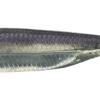 Variation picture for #25 LAKE WAKASAGI/SILVER