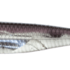 Variation picture for #F07 F WAKASAGI/SILVER