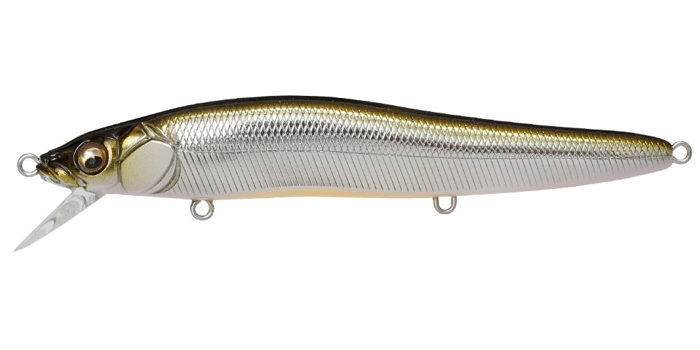 Variation picture for M Stardust Shad 2 #8