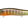 Variation picture for GP Gill #9