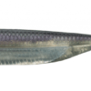 Variation picture for #25 LAKE WAKASAGI/SILVER