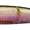 Variation picture for #05 RAINBOW TROUT