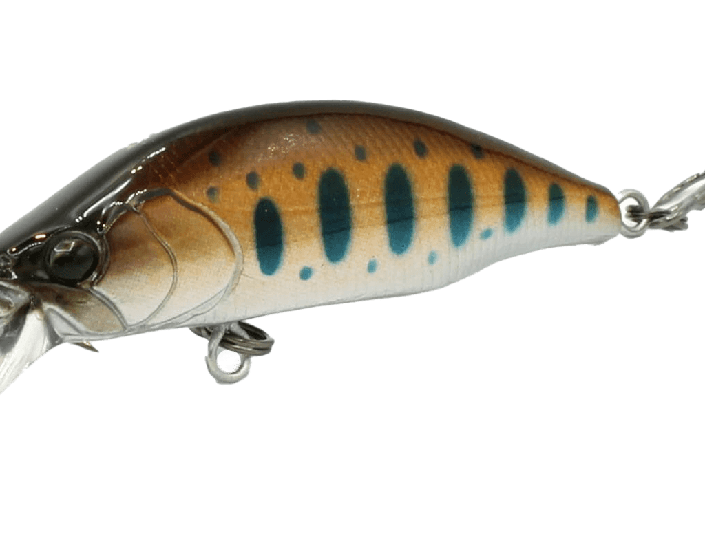 Wobler Mukai Bikaze 50S