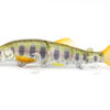 Variation picture for #03 Japanese trout