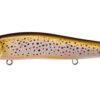 Variation picture for #05 FA Brown Trout