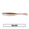 Variation picture for Big Limit