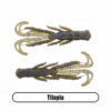 Variation picture for Tilapia