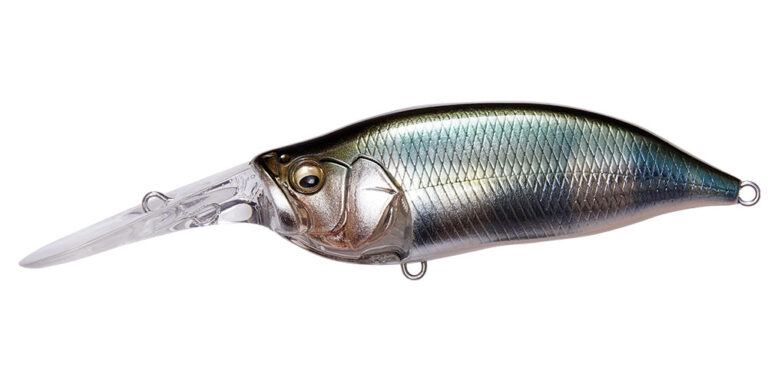 wagi-hasu
