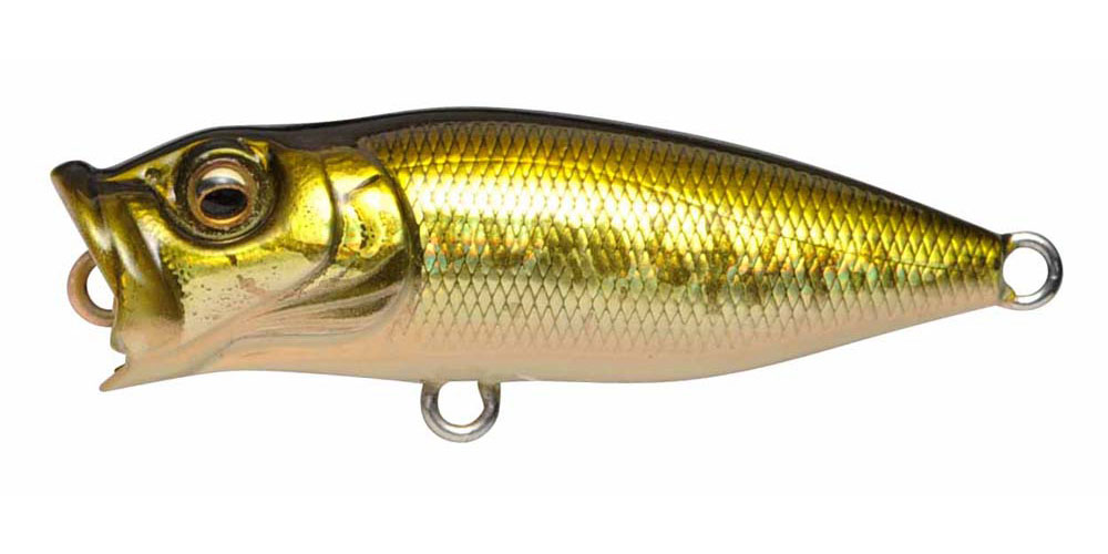 Variation picture for GG Bass