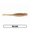 Variation picture for Big Limit