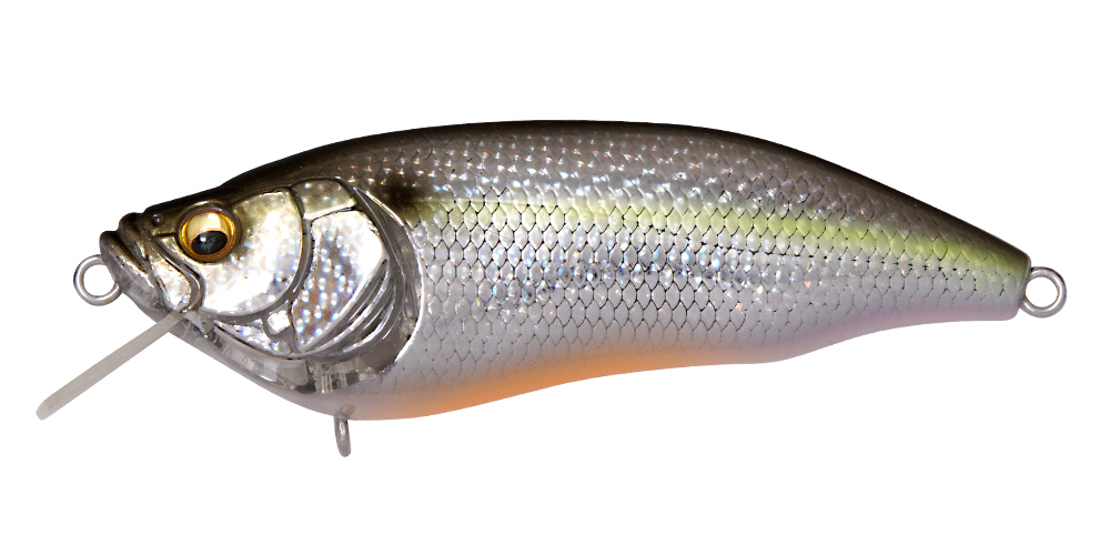 Variation picture for DD Sexy Shad #006