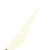 Variation picture for #210 Cream white