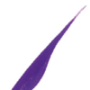 Variation picture for #419 Purple