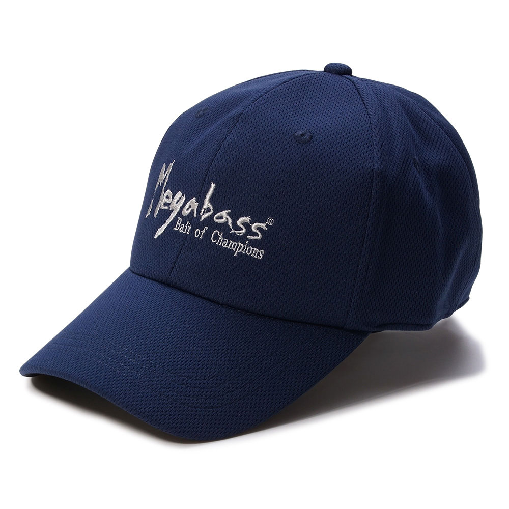 Variation picture for Brush Logo Navy/Silver
