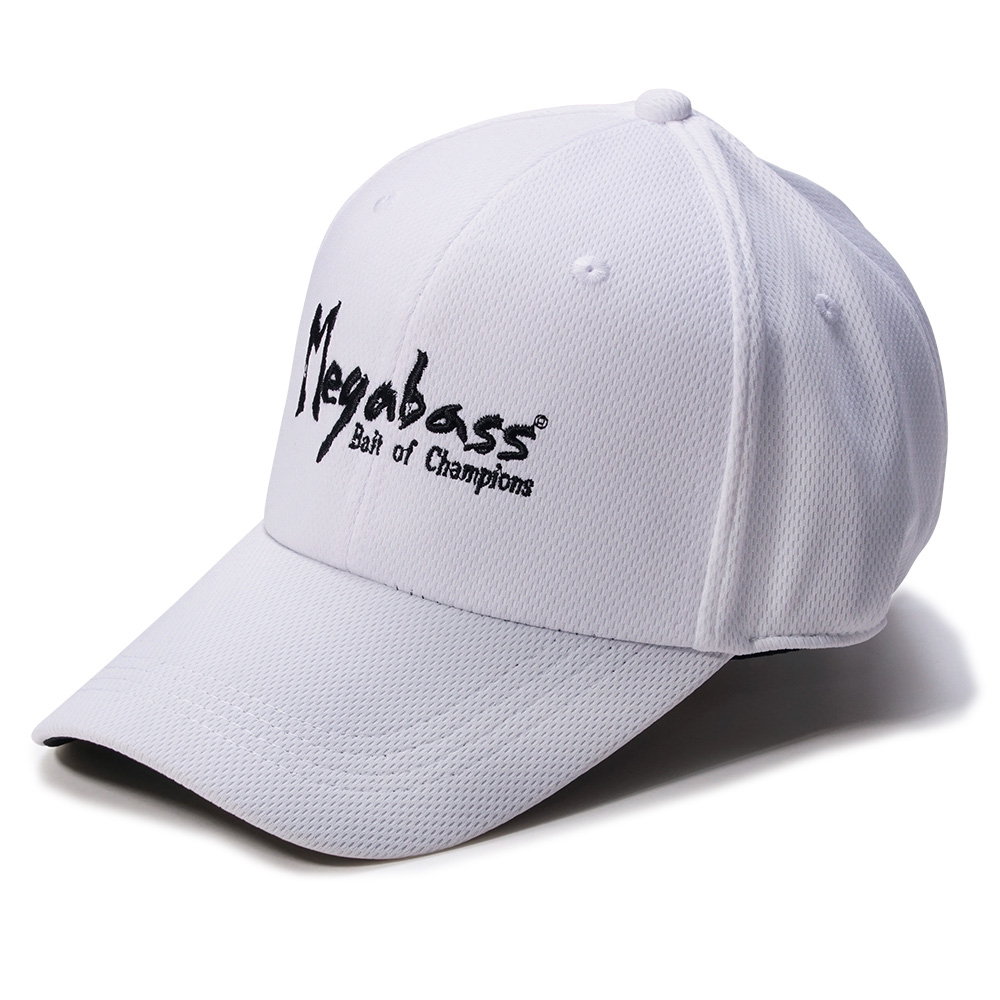 Variation picture for Brush Logo White/Black