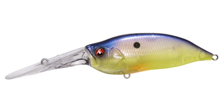 016-imakatsu-bream