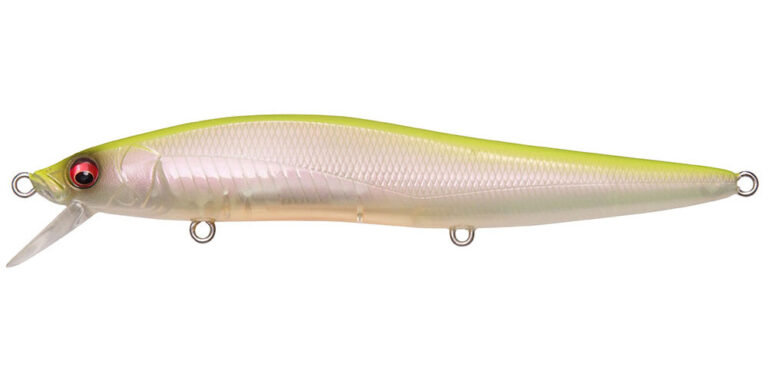 09-pm-hot-shad