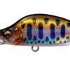 Variation picture for #001 LZ Shiny Keimura Yamame
