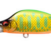 Variation picture for #007 DD Lime Back Gold OB