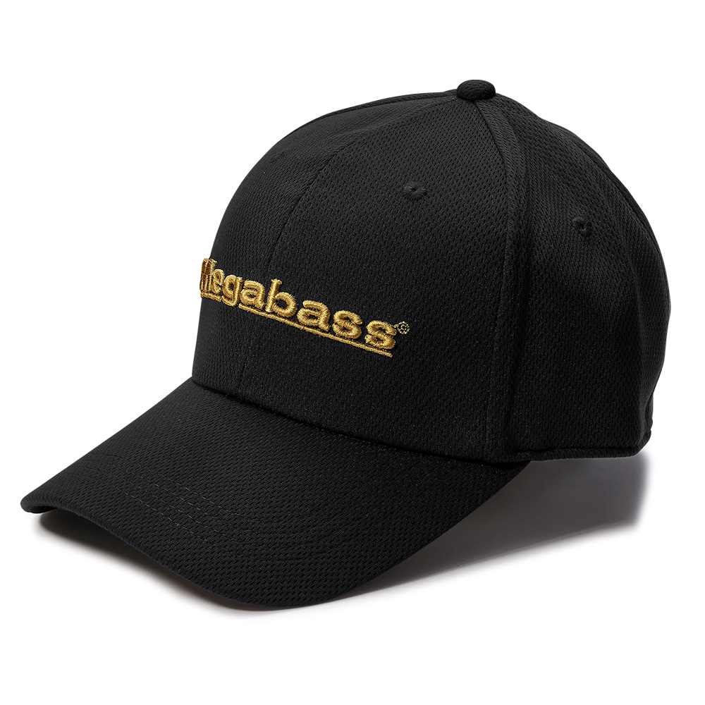 Variation picture for Black/Gold