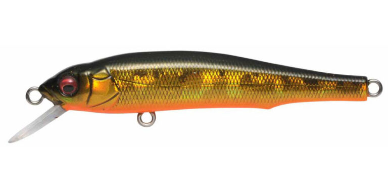 005-gg-megabass-kinkuro